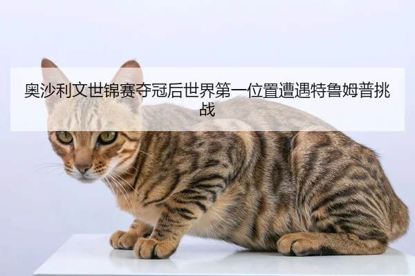 奥沙利文世锦赛夺冠后世界第一位置遭遇特鲁姆普挑战