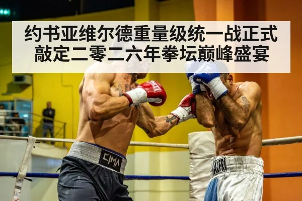 约书亚维尔德重量级统一战正式敲定二零二六年拳坛巅峰盛宴